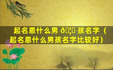 起名恩什么男 🦉 孩名字（起名恩什么男孩名字比较好）